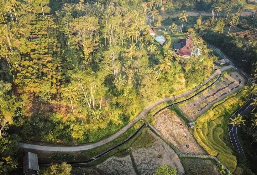 リゾートホテル Daydream Lodge