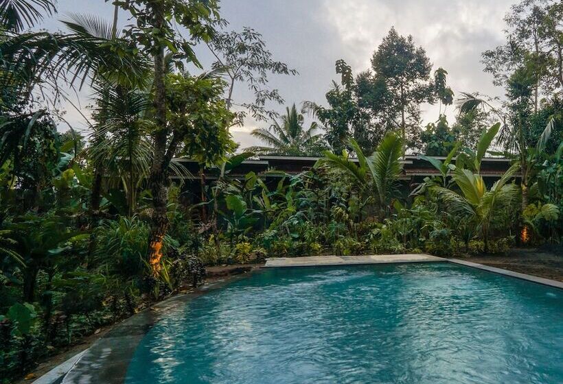 渡假胜地 Daydream Lodge