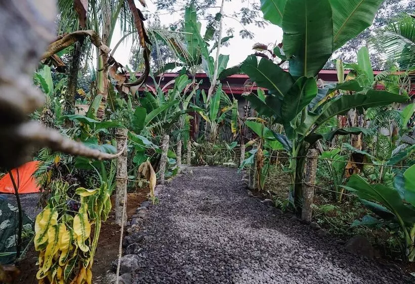 リゾートホテル Daydream Lodge