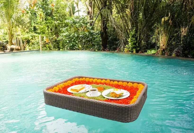 リゾートホテル Daydream Lodge