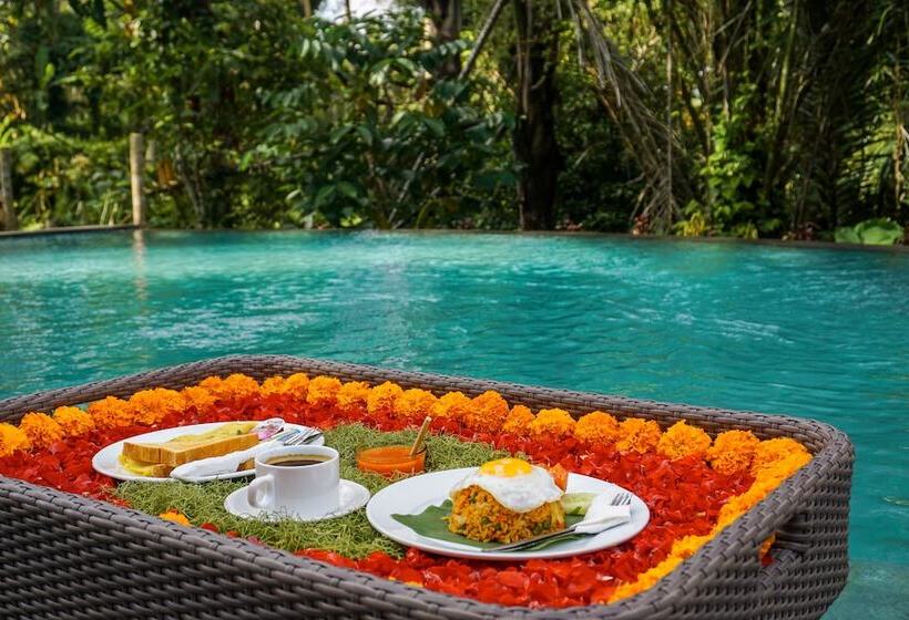 渡假胜地 Daydream Lodge