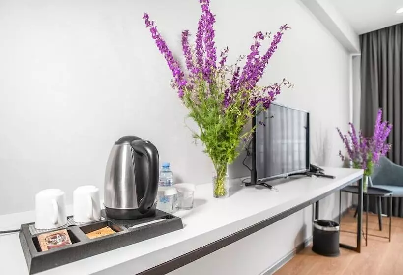 هتل Memoir Kazbegi By Dnt Group