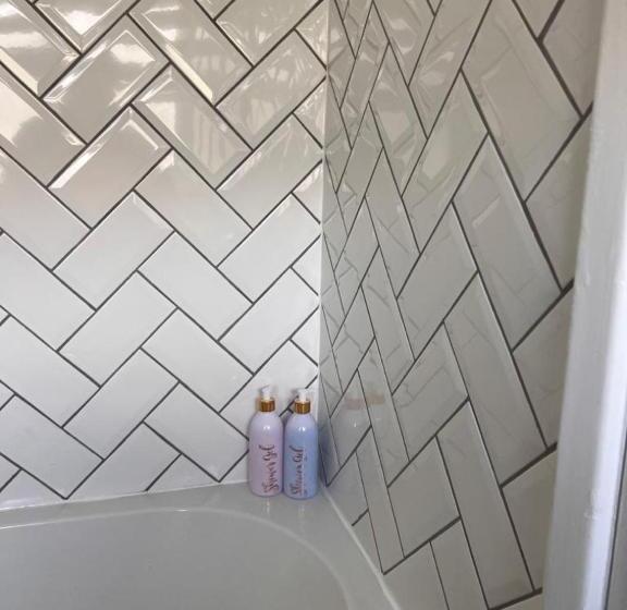 פנסיון The Coral 66 Guest House Southampton