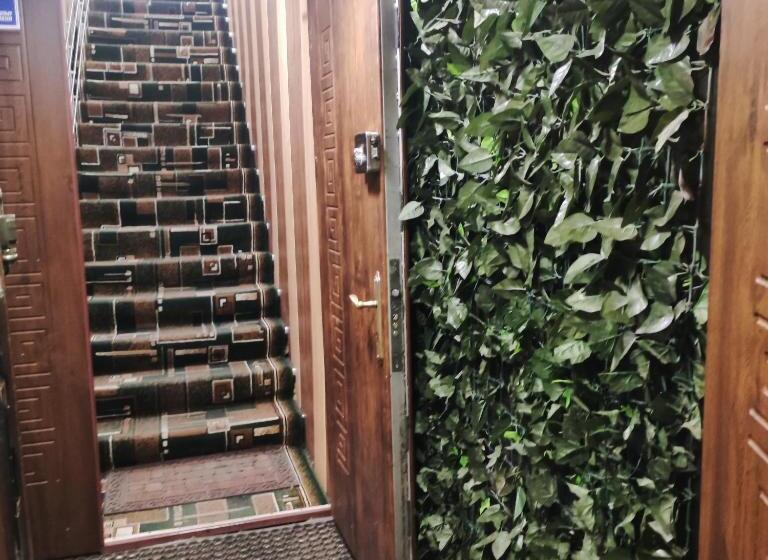 فندق صغير резидент