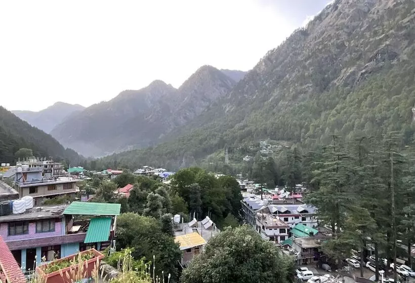 ユースホステル Diamond Valley X One Light Stays