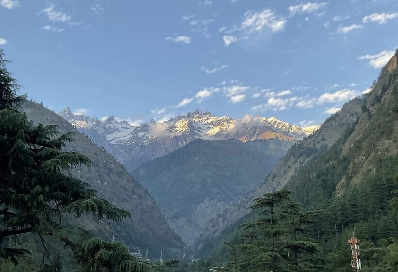 הוסטל Diamond Valley X One Light Stays