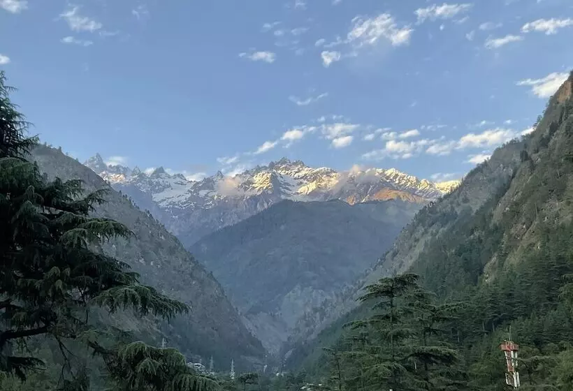 ユースホステル Diamond Valley X One Light Stays