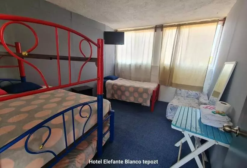 ペンション Hostal Del Elefante