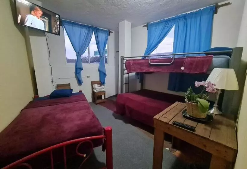 ペンション Hostal Del Elefante