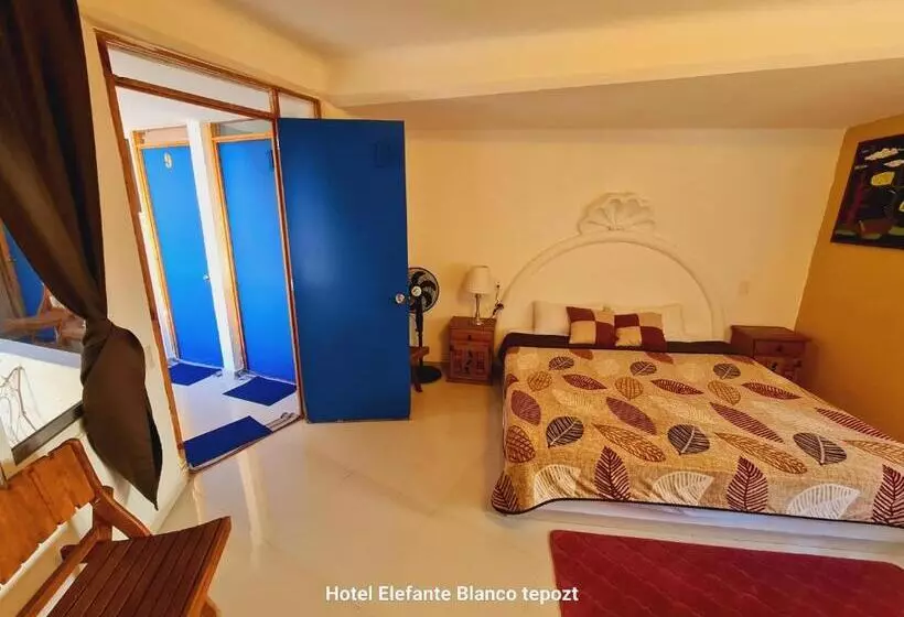 ペンション Hostal Del Elefante