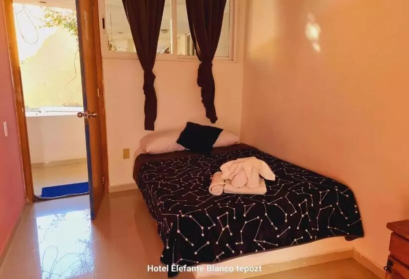 ペンション Hostal Del Elefante