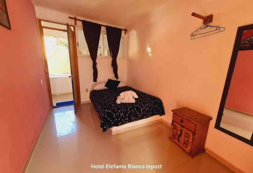 ペンション Hostal Del Elefante