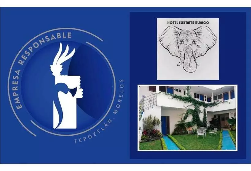 ペンション Hostal Del Elefante