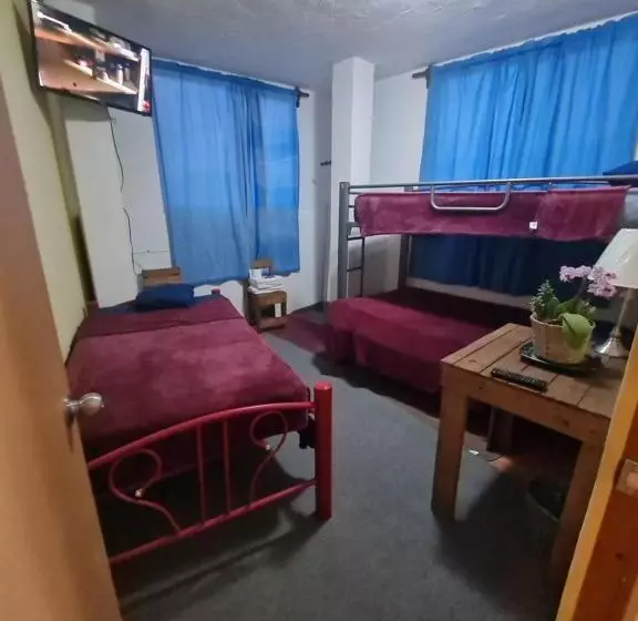 ペンション Hostal Del Elefante