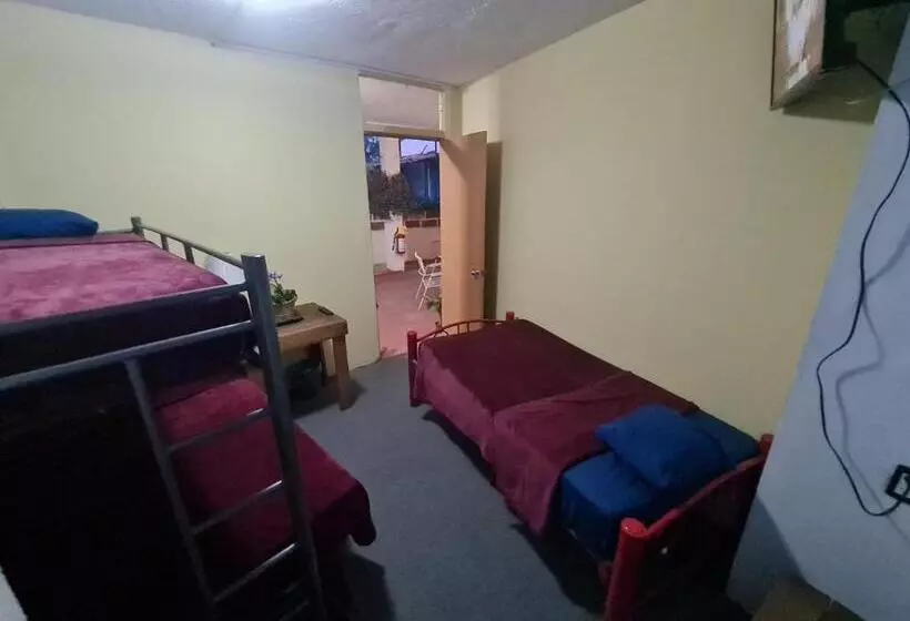 ペンション Hostal Del Elefante