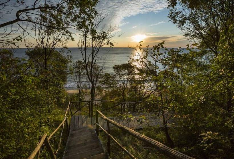 Vita Rama Holistic Hotel   Vegan Fb