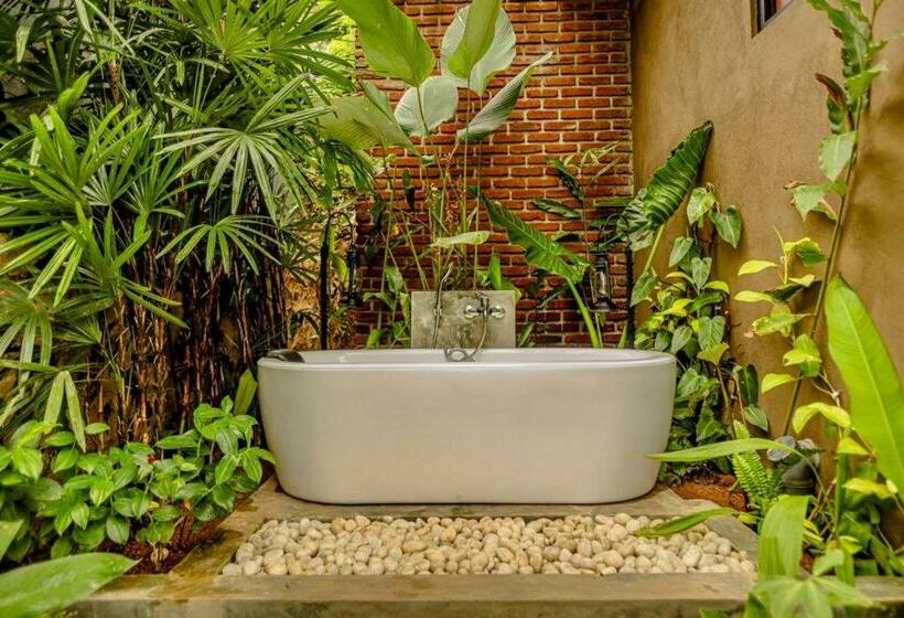 Ostello Banana Bunks Mirissa