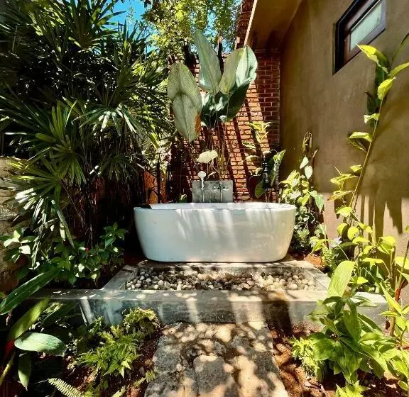 ユースホステル Banana Bunks Mirissa