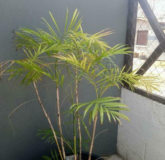 تختخواب و صبحانه Melendez Family S