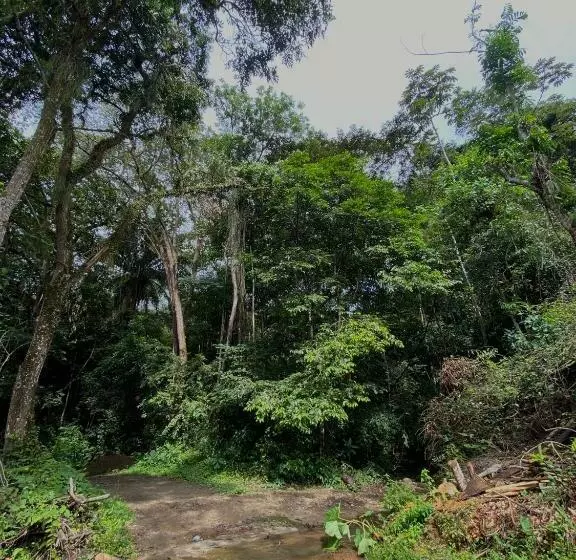 تختخواب و صبحانه Oasis Santuario De Naturaleza