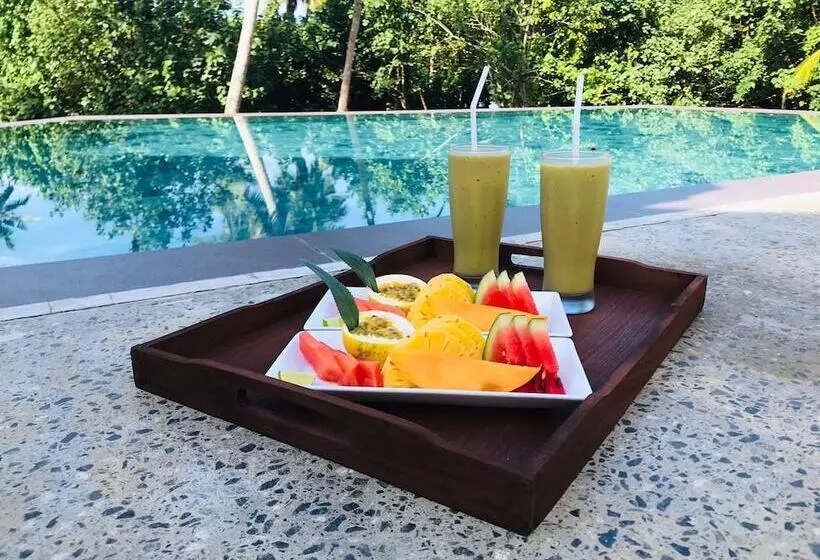 Hotelli Kiss Blossom