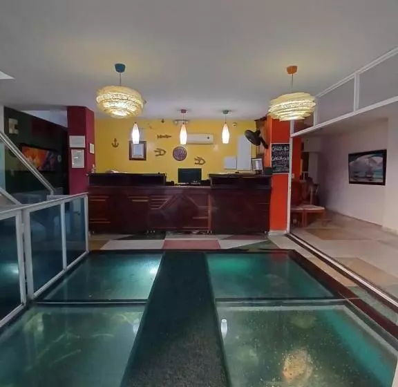 Отель Bahia Plaza