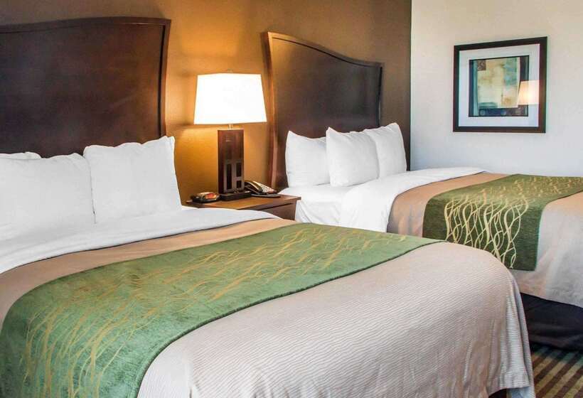 酒店 Comfort Inn & Suites Woodward