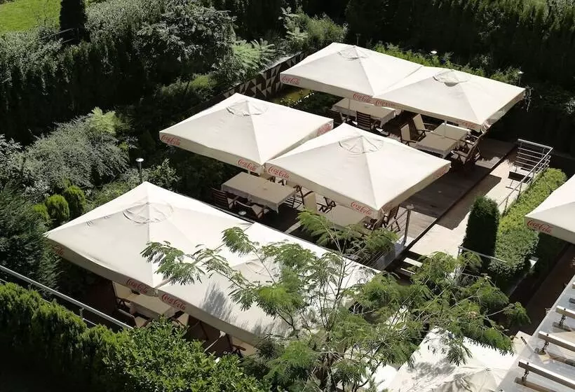 Best Western Plus Olives City Hotel Free Parking