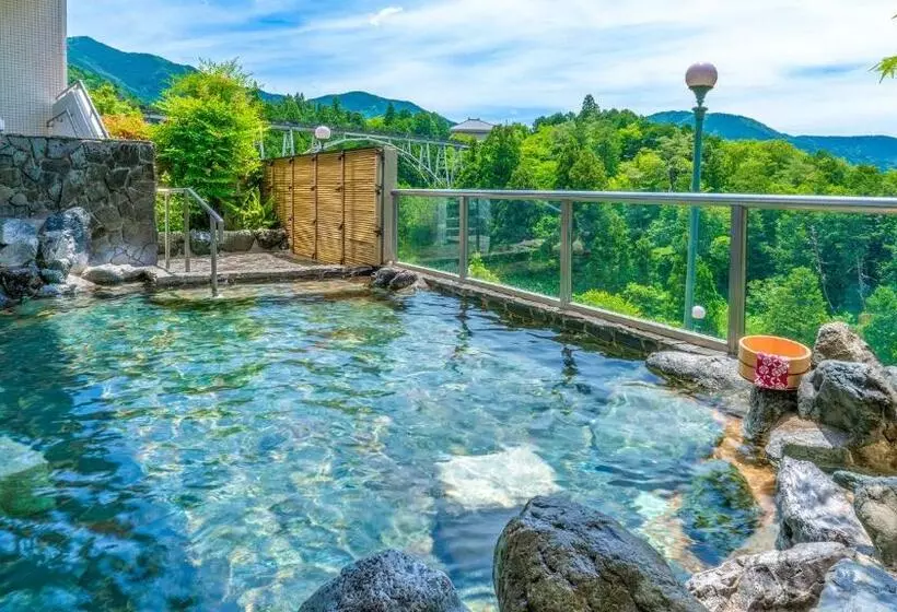 هتل Ooedo Onsen Monogatari Premium Gero Shinkan