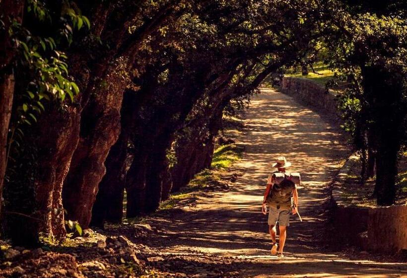 ホテル Estancia Alto San Pedro