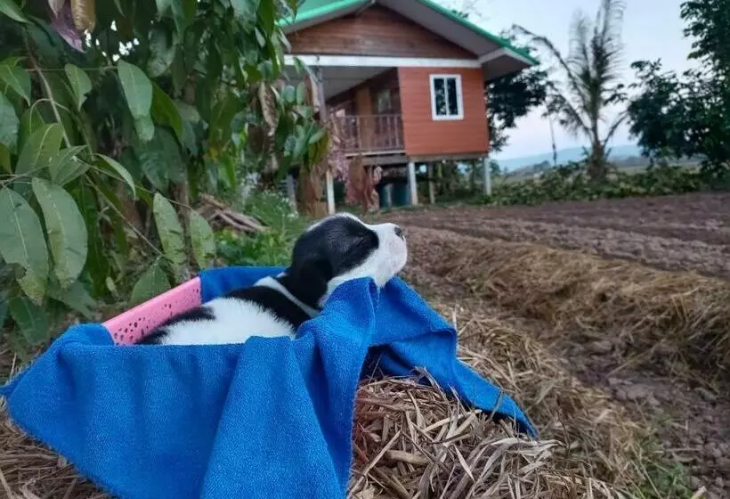 ホテル Khunkorn Fishing Farm Stay