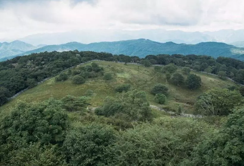 ホテル Center   Vacation Stay 85407v