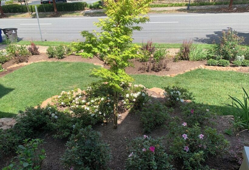 فندق Summit Street Inns