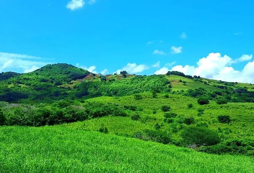 پانسیون Bel Ombre S Panoramic View