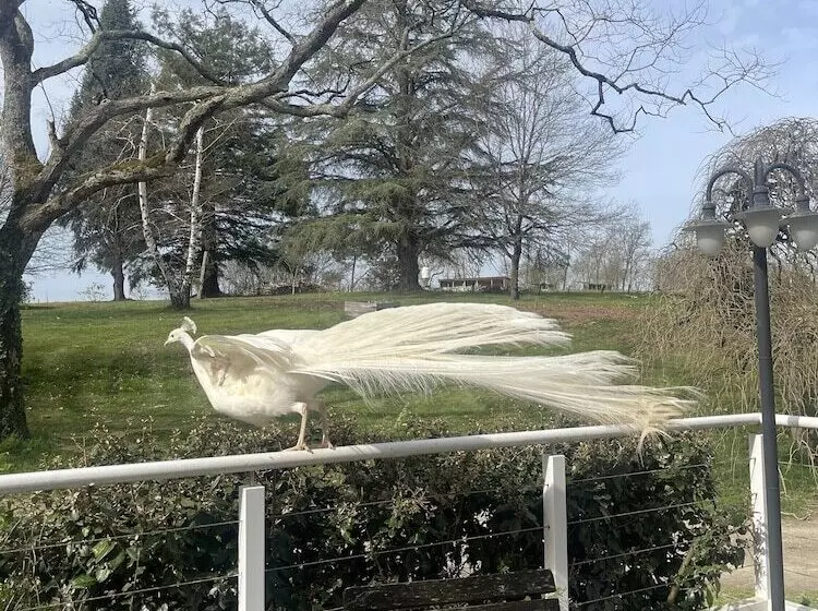 ペンション Domaine Des Peyries   Chambres Et Table D Hôtes