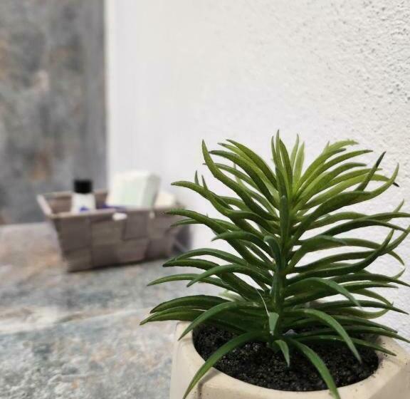 Bed and Breakfast Armina S Residence