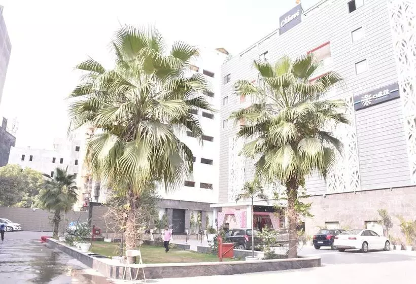 Chhavi Hotels
