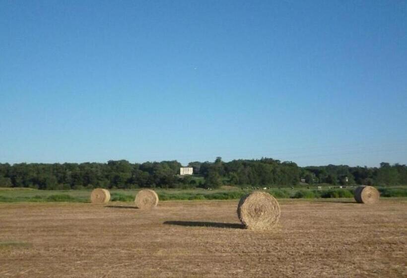 ペンション Guestroom Port Saint Père, 1 Pièce, 2 Personnes Fr 1 306 1237