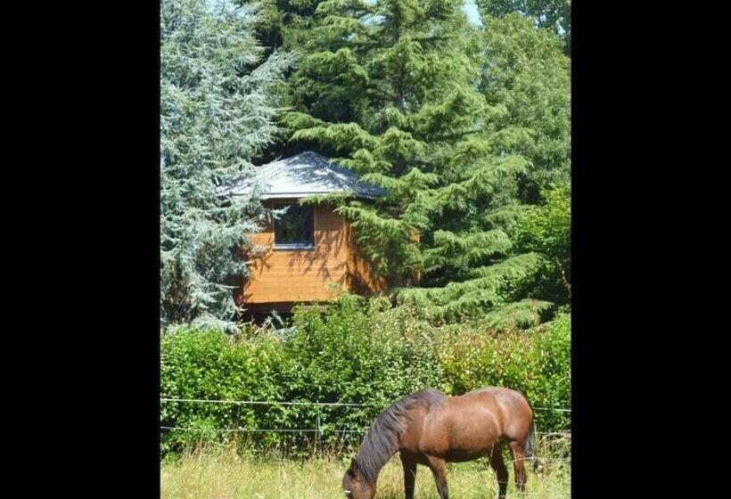 ペンション Guestroom Port Saint Père, 1 Pièce, 2 Personnes Fr 1 306 1237