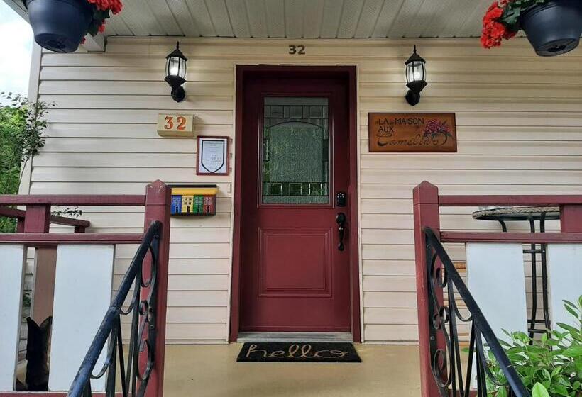 住宿加早餐 La Maison Aux Camélias