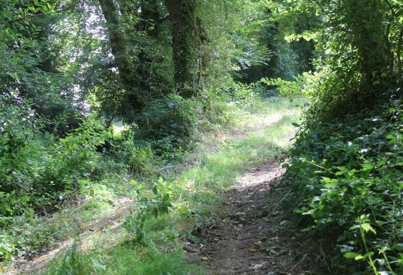 Pensionat Le Rest Du Manoir