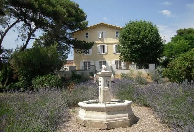 Majatalo Room In Guest Room   Wellington Guest Room In The Heart Of The Vineyard