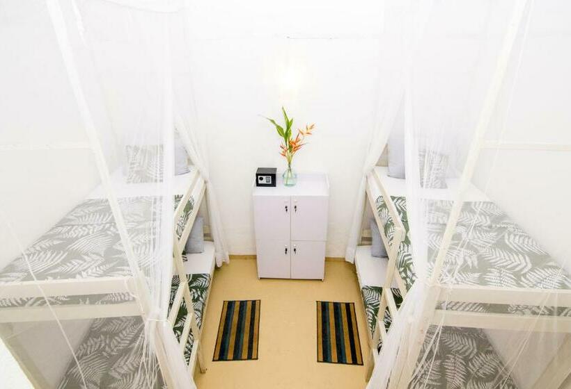 ユースホステル Bunkydew