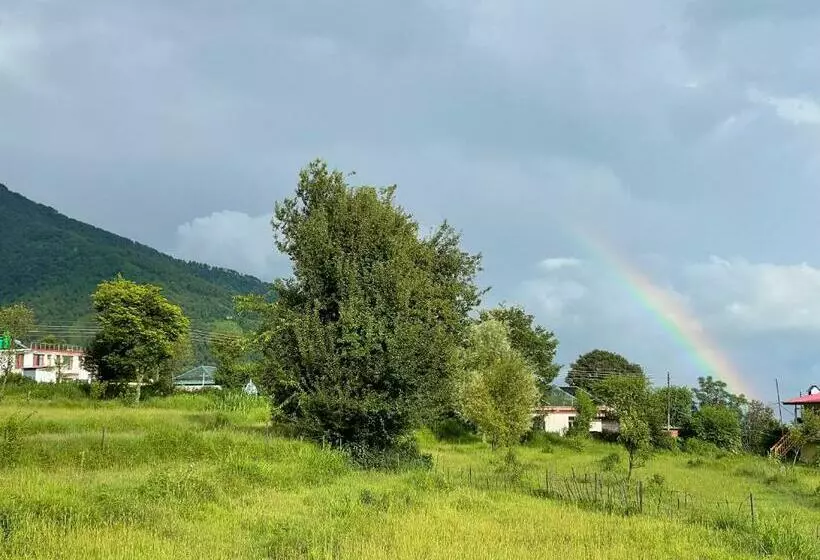 ユースホステル Flashpackers Bir   Rooms & Dorms