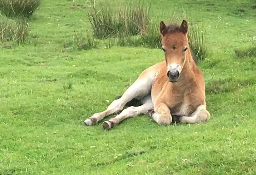 ベッドアンドブレックファースト Mole End