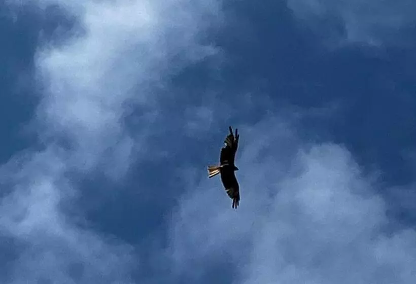 ベッドアンドブレックファースト Mole End