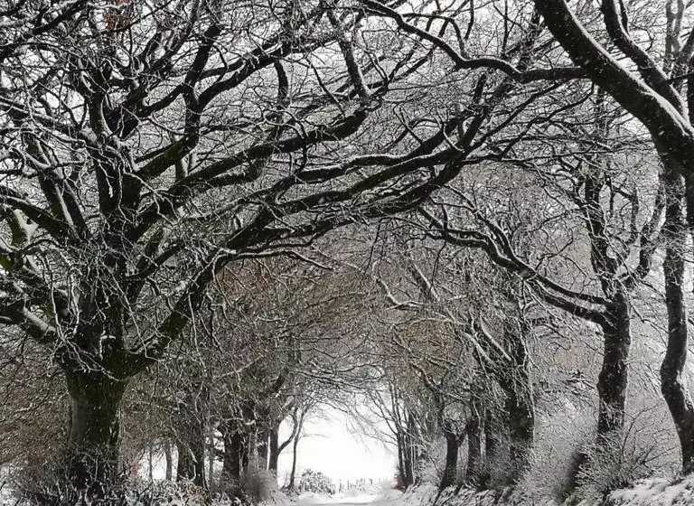 ベッドアンドブレックファースト Mole End