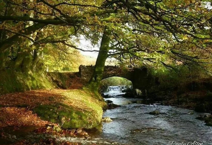 ベッドアンドブレックファースト Mole End