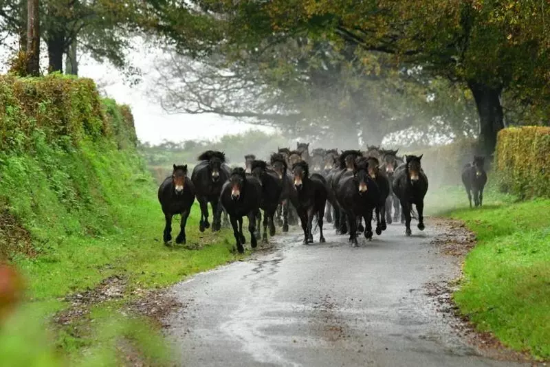 ベッドアンドブレックファースト Mole End