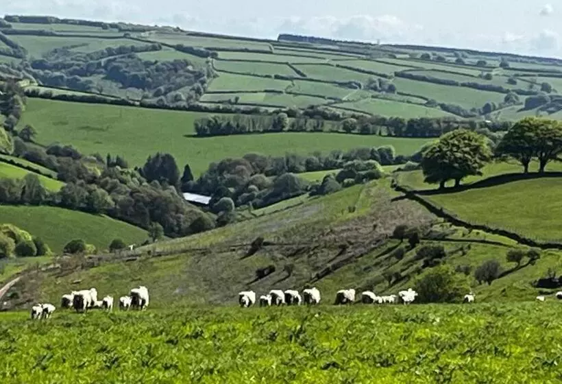 ベッドアンドブレックファースト Mole End